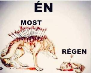 12705344_960856230664368_7780775492917902344_n