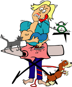 housewife-23868_960_720