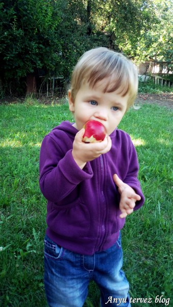 IMG_20160801_162520_1CS