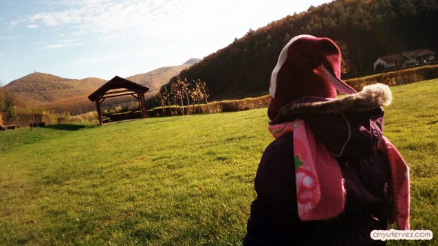 img_20161027_162409_835