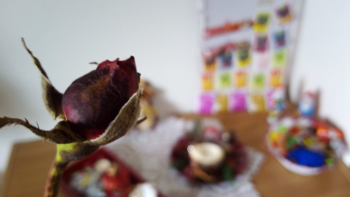 photo_20161204_102609