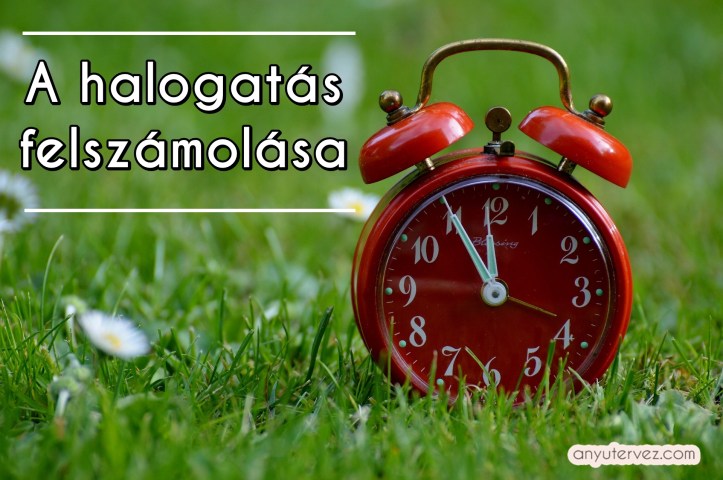 the-eleventh-hour-758723_1920