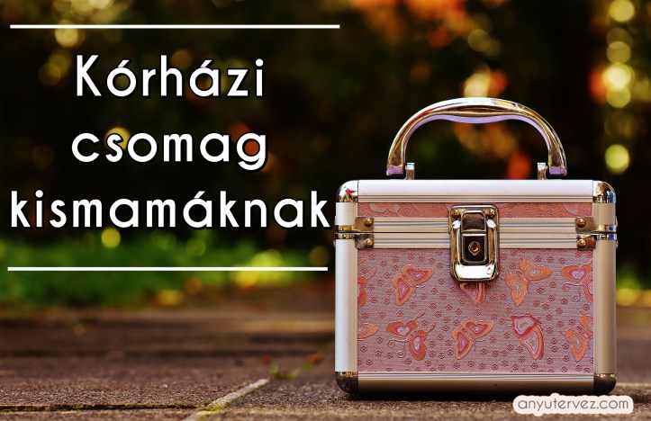 briefcase-1743518_1920