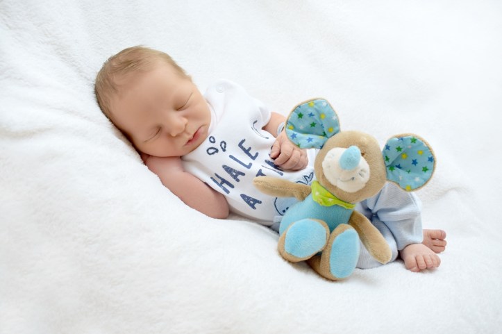 TF08_Pal_Juda_Benjammin_2017-08-14_06 icsi