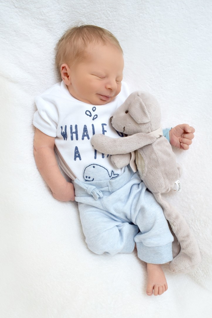 TF08_Pal_Juda_Benjammin_2017-08-14_10kicsi