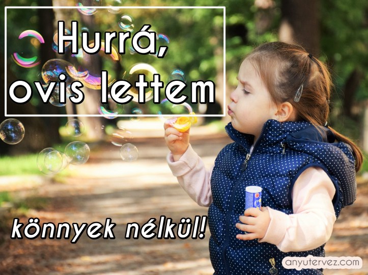 kid-1241817_1920.jpg