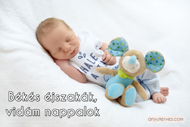 TF08_Pal_Juda_Benjammin_2017-08-14_06 Békés éjszakák.JPG