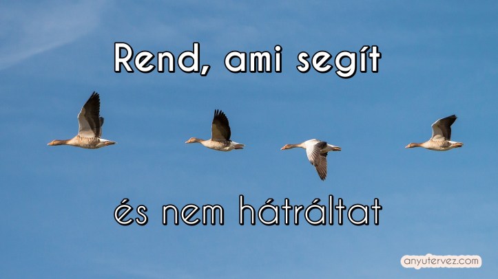 rend ami segít.jpg