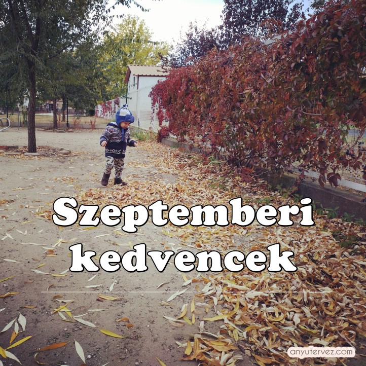 szeptemberi kedvencek.jpg